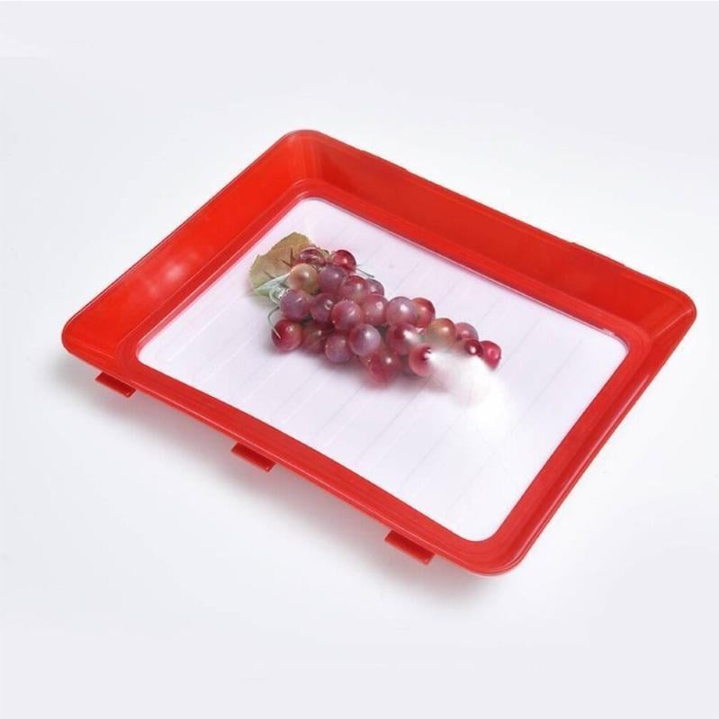 👍Buy 3 Get 2 Free Today - Environmentally friendly design - Reusable Food Preserving Tray-J🥰