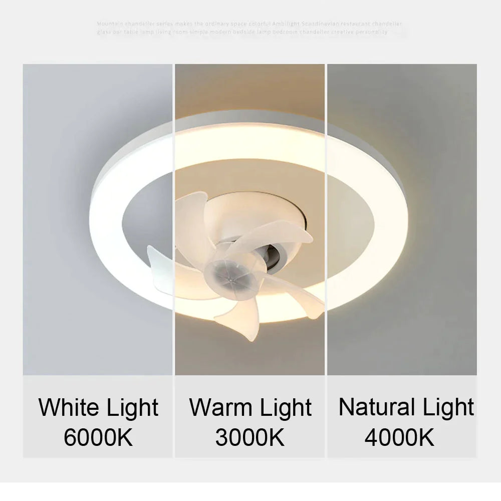 💥Last Day Sale 51% OFF💥 2in1 Remote Control 360 Radiant Rotating RC Ceiling Fan Lamp